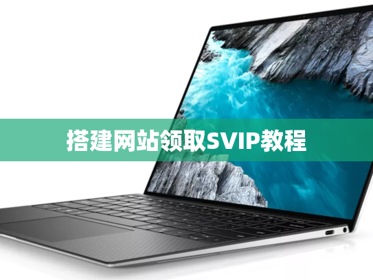 搭建网站领取SVIP教程