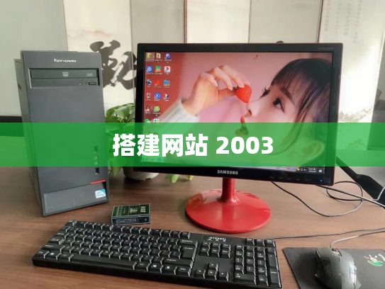 搭建网站 2003