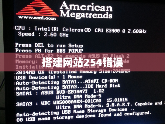 搭建网站254错误
