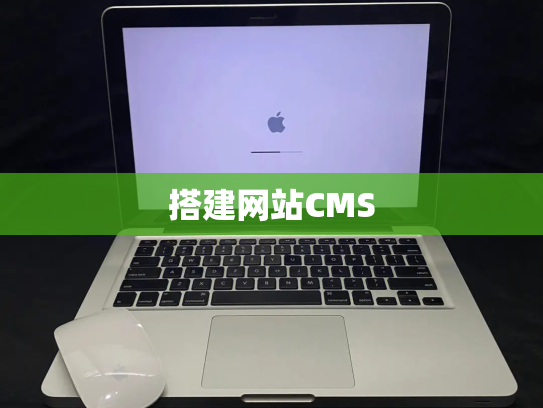 搭建网站CMS