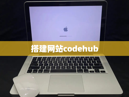 搭建网站codehub