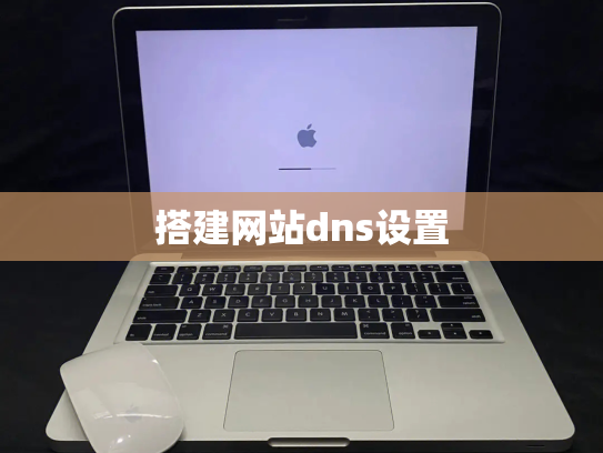 搭建网站dns设置