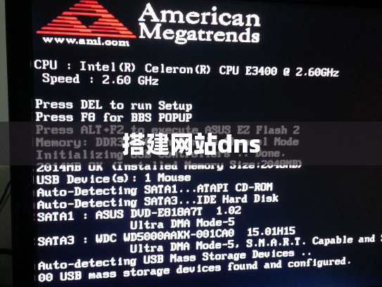 搭建网站dns