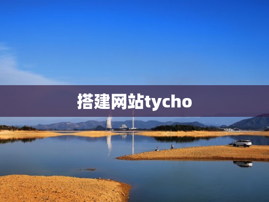 搭建网站tycho
