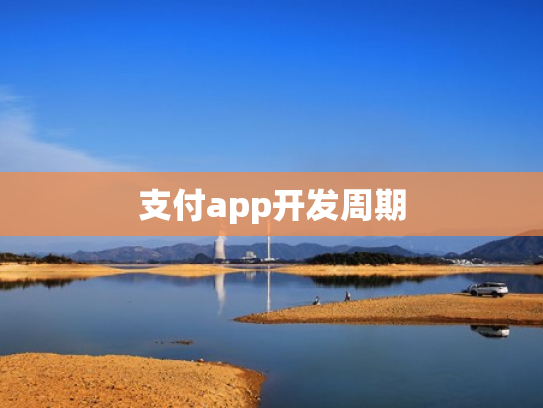 支付app开发周期