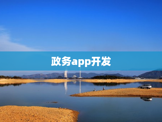 政务app开发