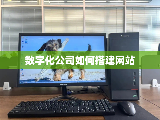 数字化公司如何搭建网站