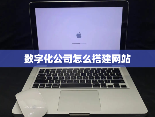 数字化公司怎么搭建网站