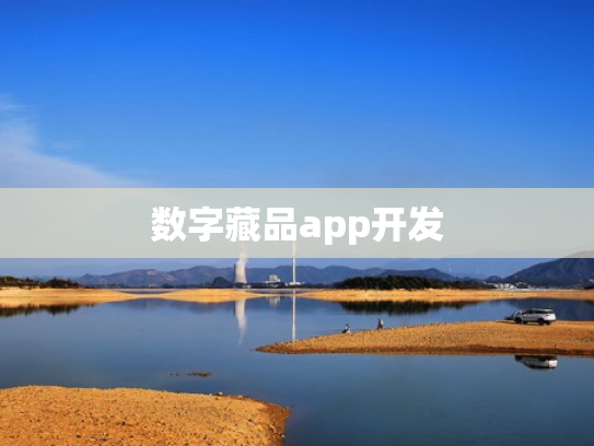 数字藏品app开发
