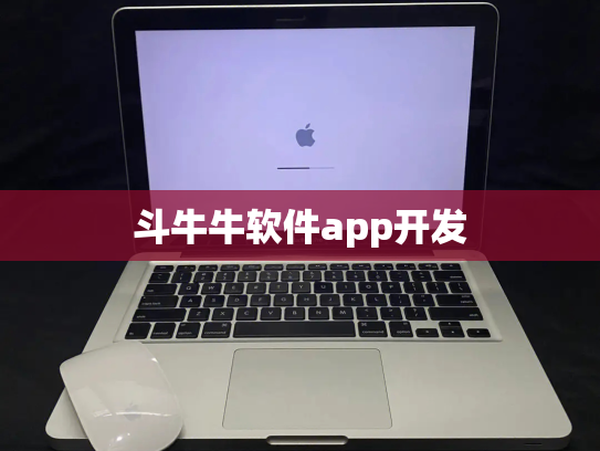 斗牛牛软件app开发