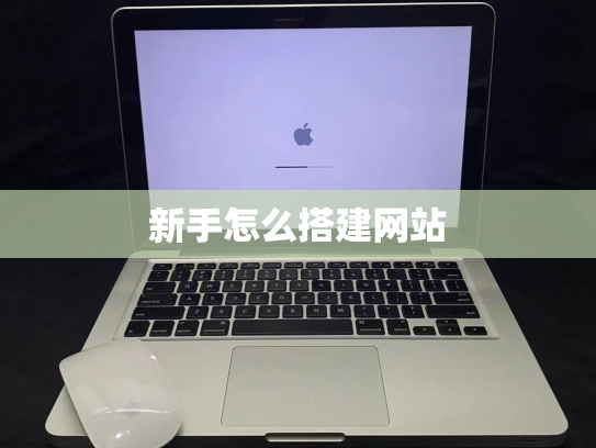 新手怎么搭建网站