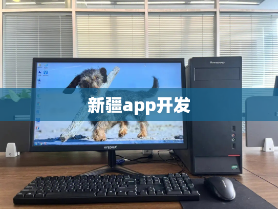 新疆app开发