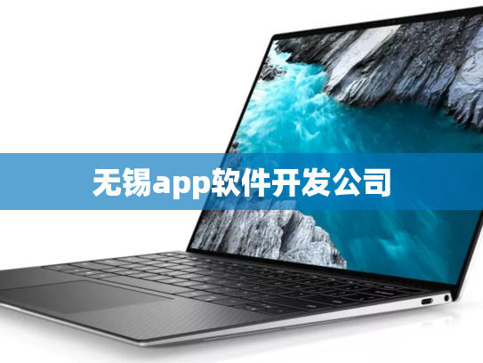 无锡app软件开发公司