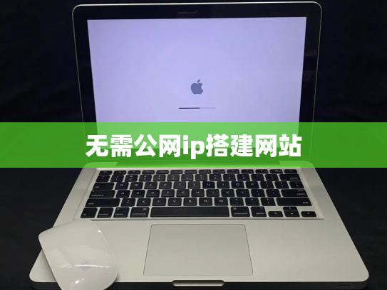 无需公网ip搭建网站