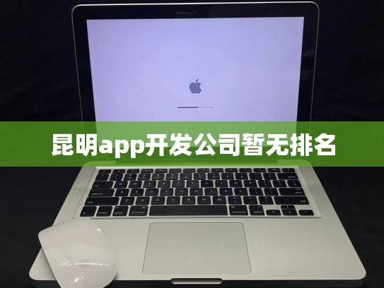 昆明app开发公司暂无排名