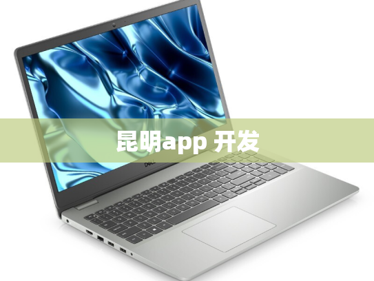 昆明app 开发