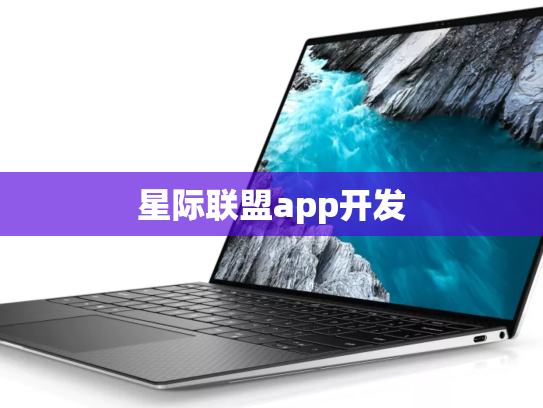 星际联盟app开发