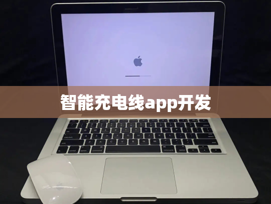 智能充电线app开发