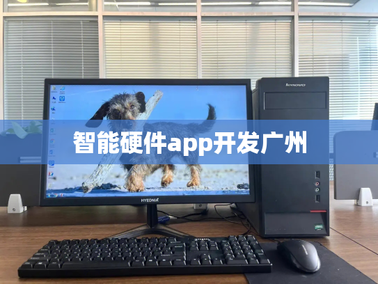 智能硬件app开发广州