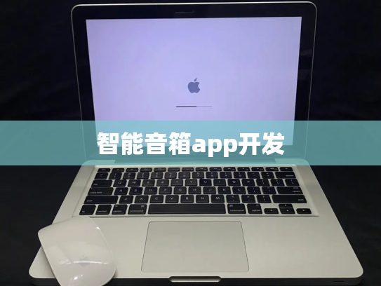 智能音箱app开发