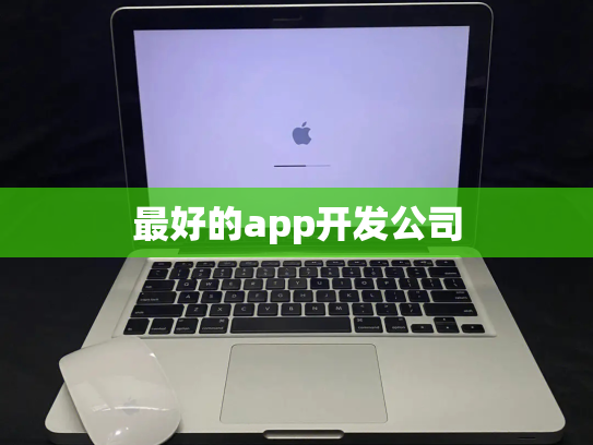 最好的app开发公司