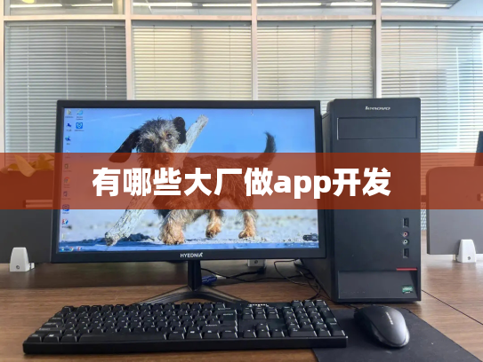 有哪些大厂做app开发