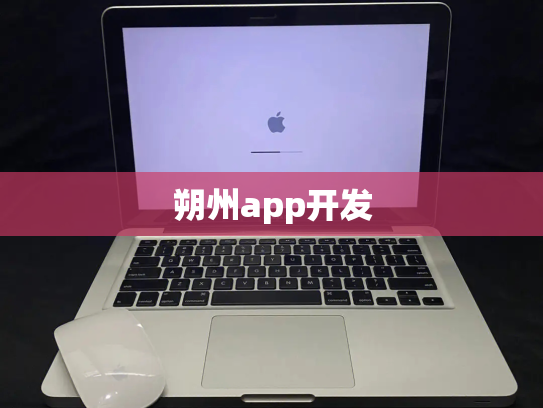 朔州app开发