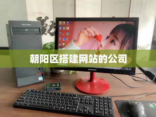 朝阳区搭建网站的公司