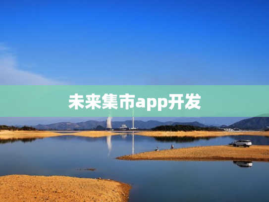 未来集市app开发