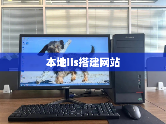 本地iis搭建网站