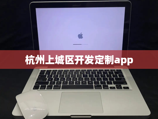 杭州上城区开发定制app