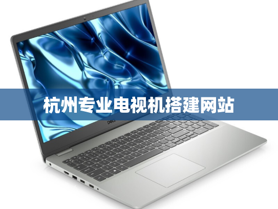 杭州专业电视机搭建网站