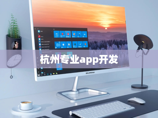 杭州专业app开发