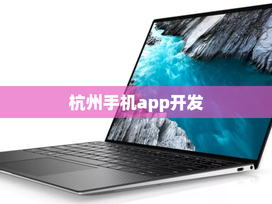 杭州手机app开发