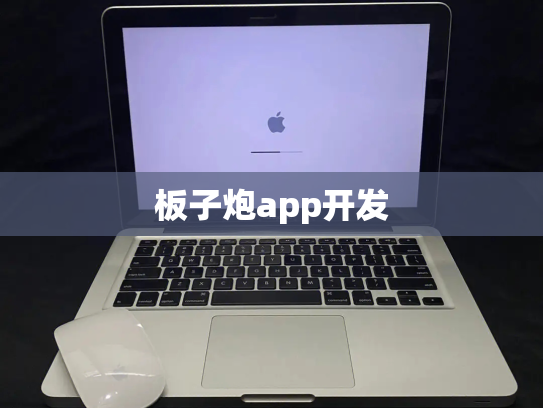板子炮app开发