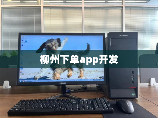 柳州下单app开发