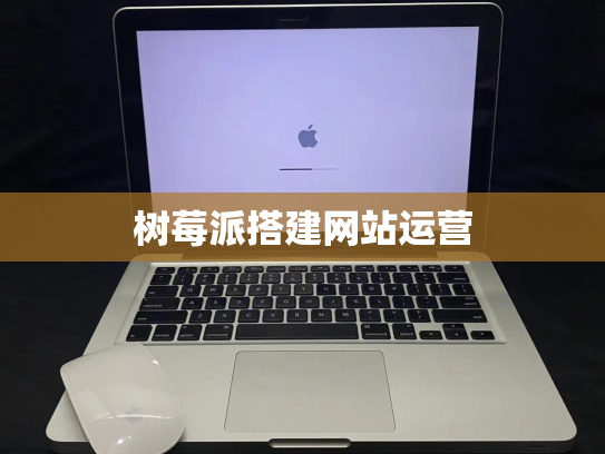树莓派搭建网站运营