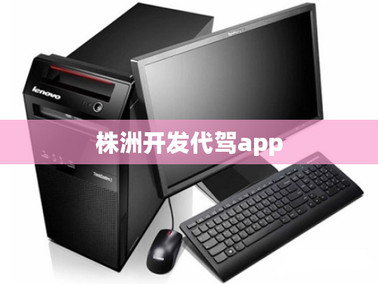 株洲开发代驾app