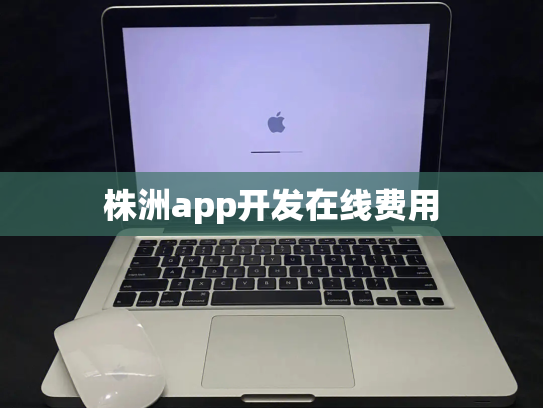株洲app开发在线费用
