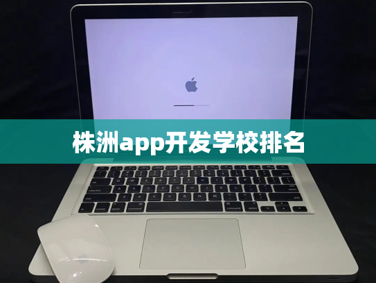 株洲app开发学校排名