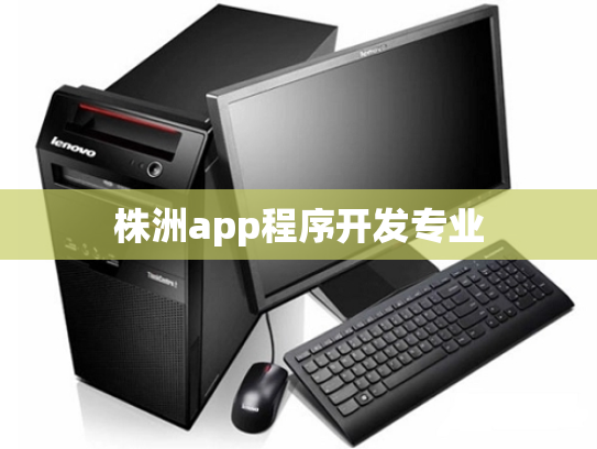 株洲app程序开发专业