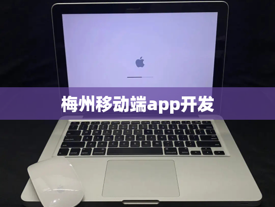梅州移动端app开发