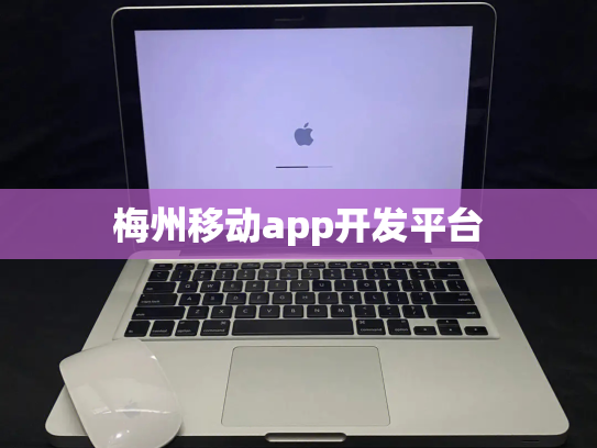 梅州移动app开发平台