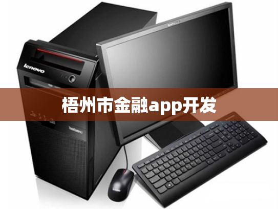 梧州市金融app开发