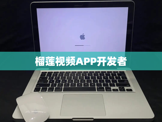 榴莲视频APP开发者