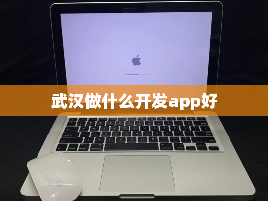 武汉做什么开发app好