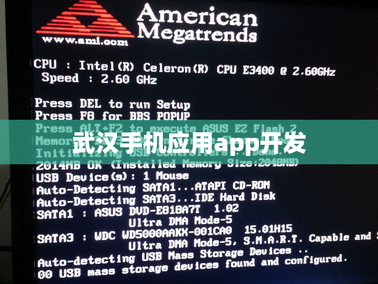 武汉手机应用app开发
