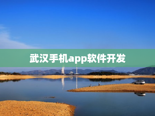 武汉手机app软件开发