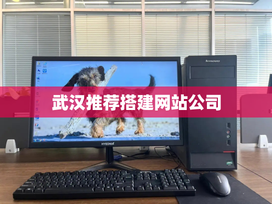 武汉推荐搭建网站公司