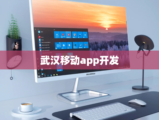 武汉移动app开发